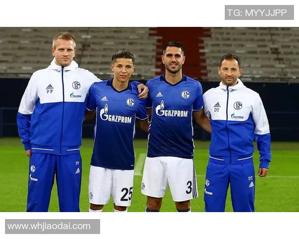 沙尔克04大胜汉堡，展现稳定表现势不可挡