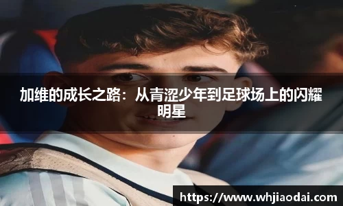 HB火博手机最新版本